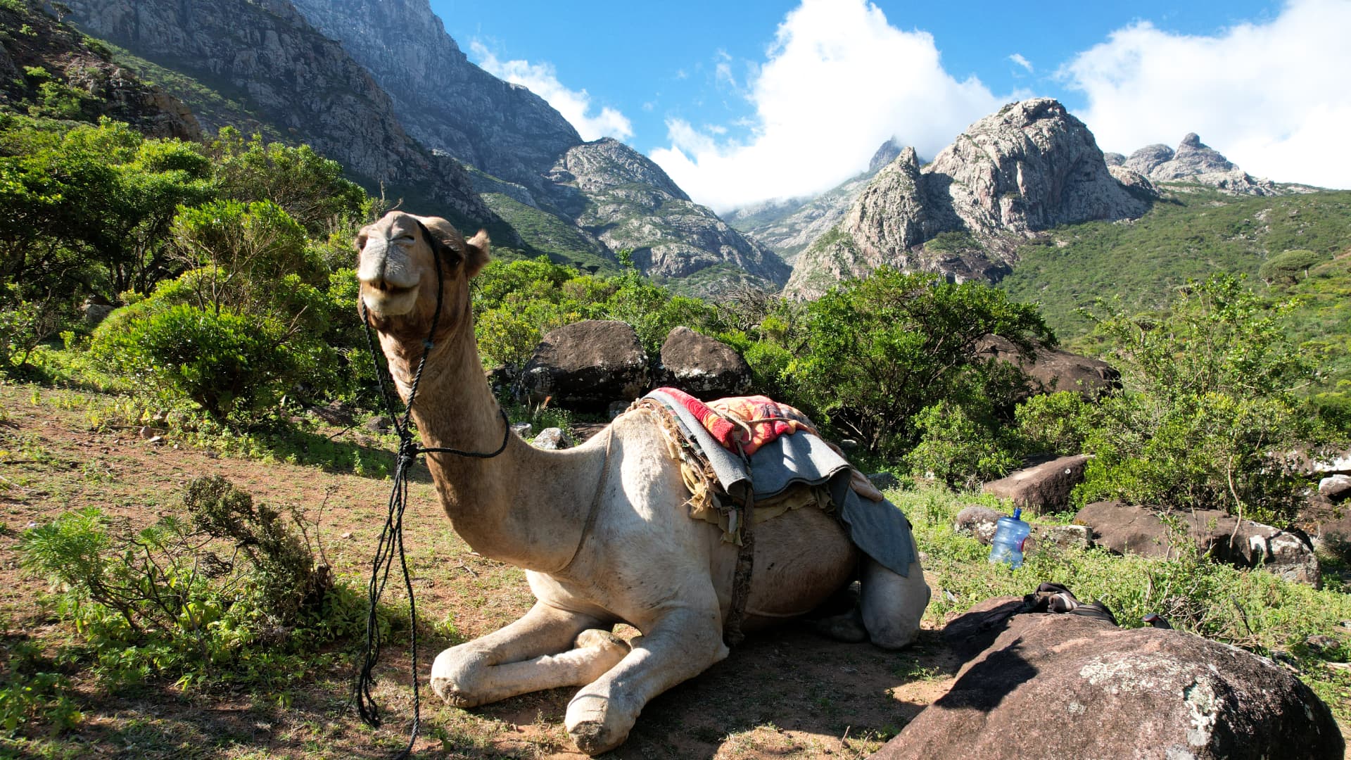 Trekking across the mountains