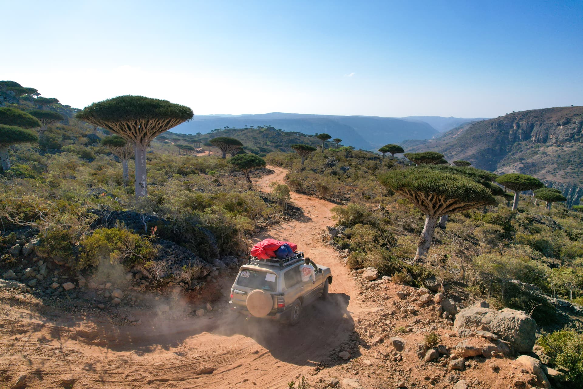Socotra in Full detail