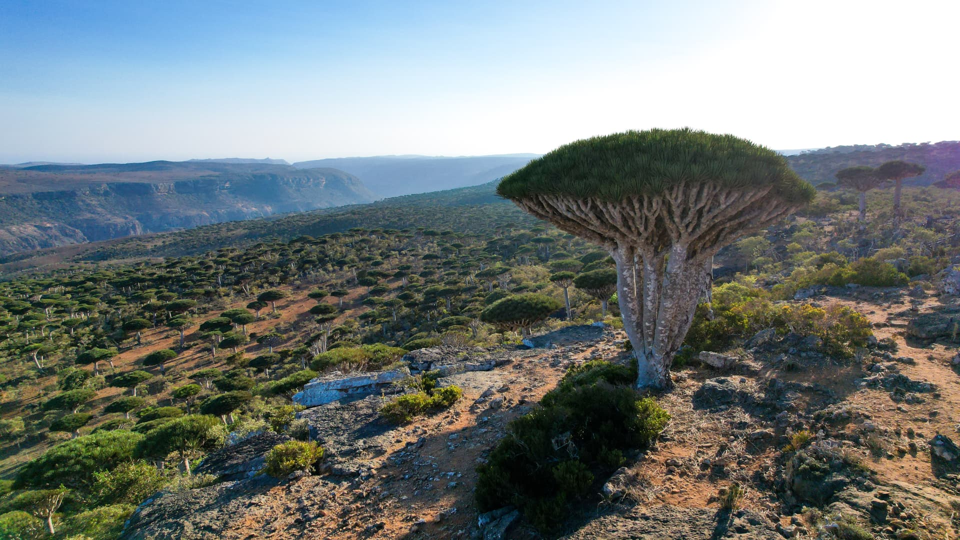 Diksam Plateau